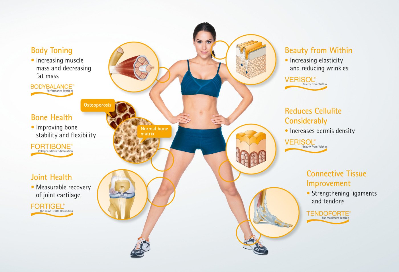 gelita-to-feature-collagen-protein-solutions-for-sport-nutrition